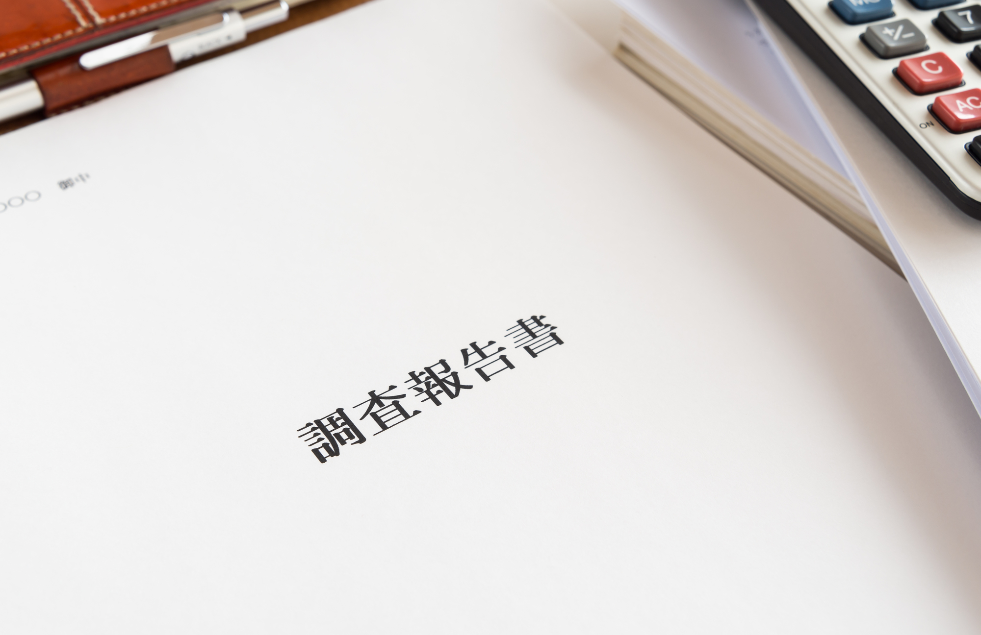 調査報告書